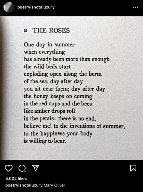 Summer Poems, Mary Oliver Poems, Proof Of Life, American Primitive, More Than Enough, Mary Oliver, Red Cups, Believe Me, Ask For Help