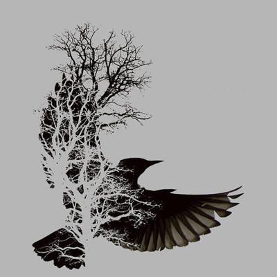 My tree of life! Rabe Tattoo, Shadow Tree, Henne Tattoo, Crow Tattoo, Raven Tattoo, Tree Of Life Tattoo, Shadow Pictures, Bird Tree, Tree Tattoo