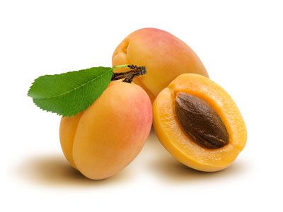 Apricot kernel oil Apricot Kernels, Apricot Kernel Oil, Apricot, Composition, Fruit, Health