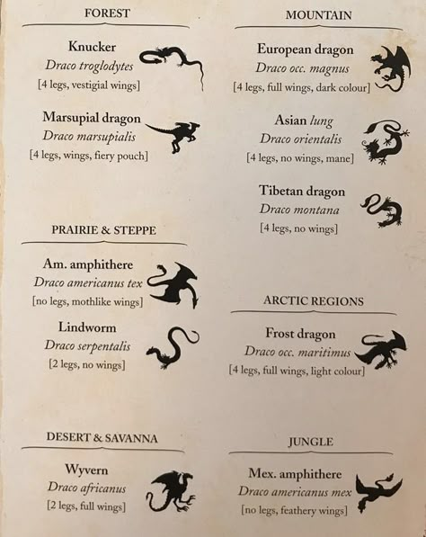 Dragon Types Mythical Creatures, Dragon Witchcraft, Dragon Guide, Dragons Types Chart, Dragon Chart, Dragon Knowledge, Mythical Races List, Viking Creatures, Types Of Magical Creatures