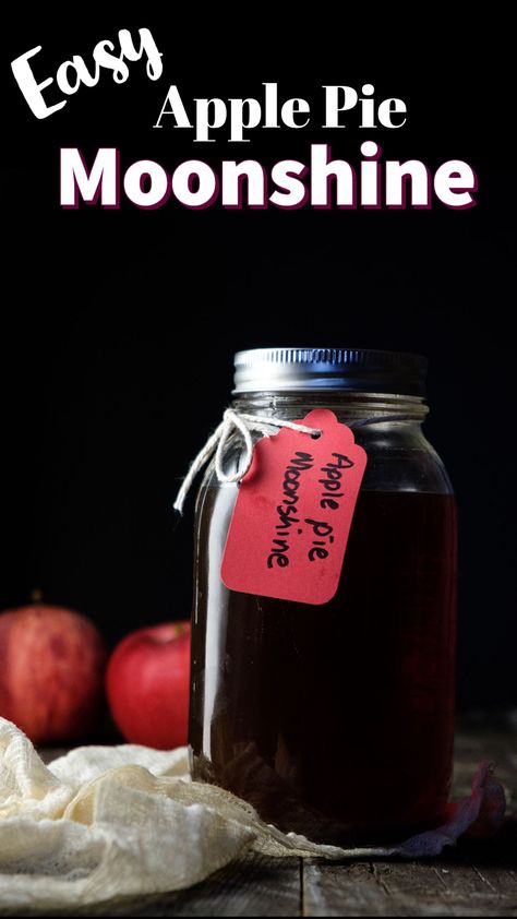 Ready in about an hour, this Apple Pie Moonshine needs to be in your life right now! This recipe is so easy and it makes a lot, so it's perfect to give as gifts or for your Halloween party or Thanksgiving get together. Great for just sipping or turn any cocktail into an apple pie drink! Perfect for fall cocktails, Halloween cocktails or Thanksgiving cocktails! Flavored Moonshine Recipes, Apple Pie Drink, Apple Pie Moonshine Recipe, Yum Drinks, The Best Apple Pie, Moonshine Recipe, Apple Pie Moonshine, Fantastic Recipes, Best Apple Pie