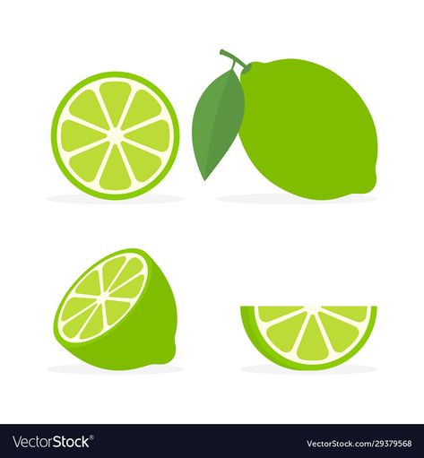 Leaf Vector Illustration, Lime Vector, Lemon Set, Leaf Vector, Cartoon Painting, Leaf Green, Green Leaf, Food Illustrations, Fresh Fruit