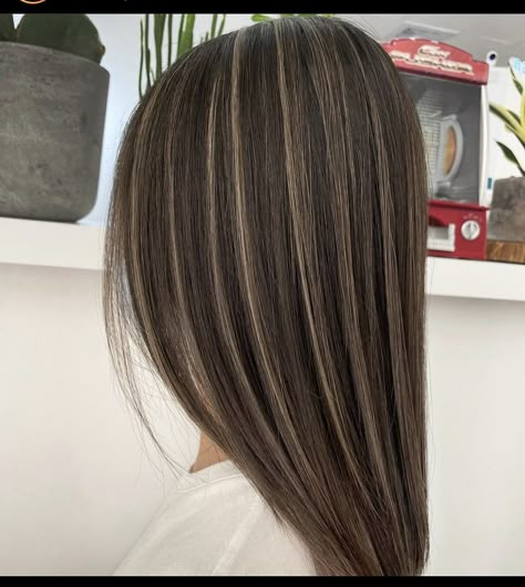 Lite Hair Color, Hair Hailaits, Light Brown Hair Streaks, Shiny Brown Hair Color, Streaks For Brown Hair, Blonde Highlights For Dark Brown Hair Straight, Light Streaks Hair, Light Streaks In Brown Hair, Dark Hair Inspo With Highlights