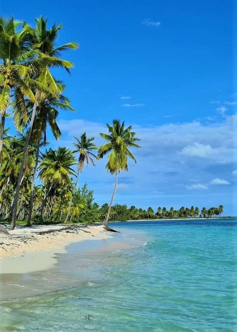 Saona Island, Dominican Republic Background Images Nature, Punta Cana Pictures, Nature Aesthetic Videos, Saona Island, Tattoo Nature, Drawing Nature, Quotes Nature, Nature Craft, Nature Tattoo