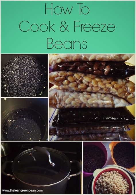 Did you know you can cook and freeze dried beans? Make a whole bag and stock your freezer so you have them on hand to add to meals! Freeze Beans, Beans In Crockpot, Different Foods, Cooking Dried Beans, How To Cook Beans, Cooking Guide, Freezer Cooking, Garbanzo Beans, Frozen Meals