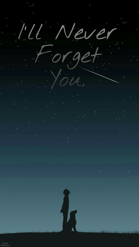 I will never forget you Wallpaper You Will Never See Again, All Dogs Go To Heaven Wallpaper, Wallpapers You Will Never See Again, I Will Never Forget You Quotes, I Will Never Forget You, Missing Someone In Heaven, Cosmic Quotes, Star Love Quotes, I Never Forget You