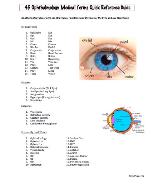 Easy Medical Terminology : Oculoplasty - Free PDF Ophthalmology (EYE) Reference Card Opthalmic Technician, Optician Training, Eye Health Facts, Optometry Education, Medical Terminology Study, Eye Reference, Medical Mnemonics, Eye Facts, Eye Anatomy