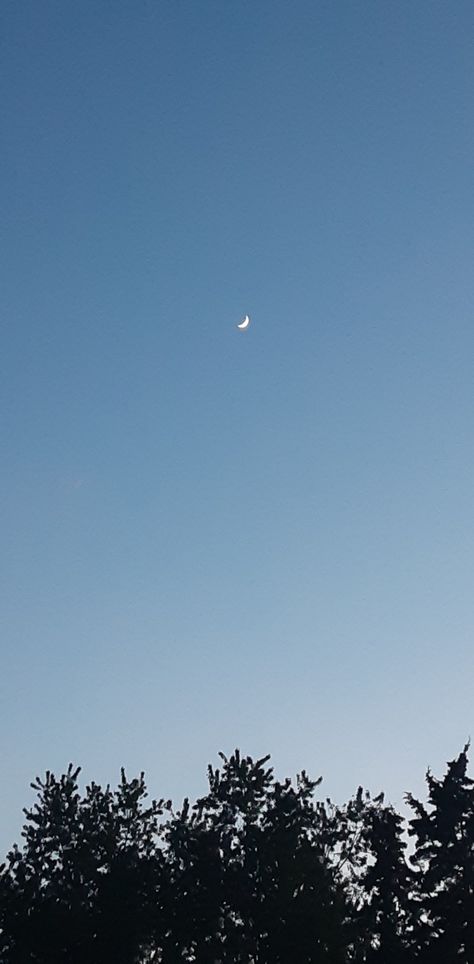 Moon In Evening Sky, Moon Evening Sky, Moon And Star Quotes, Night Sky Photography, Star Quotes, Evening Sunset, The Moon Is Beautiful, Moon Pictures, Moon Photography