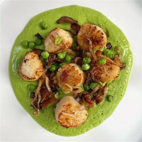 Scallops with Bacon, Shallot & Pea Purée Scallops With Bacon, Grilled Cheese Sticks, Scallops Recipes, Pea Puree, Mixed Seafood, Haddock Recipes, Delish Dinners, Scallops Recipe, Grape Oil