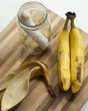 Science Fair: Do Bananas Give Birth to Maggots? Space Science Projects, Decaying Fruit, Rotting Fruit, Earth Science Experiments, Rotting Food, Seed Science, Gravity Science, Science Fair Board, Composting Food Scraps