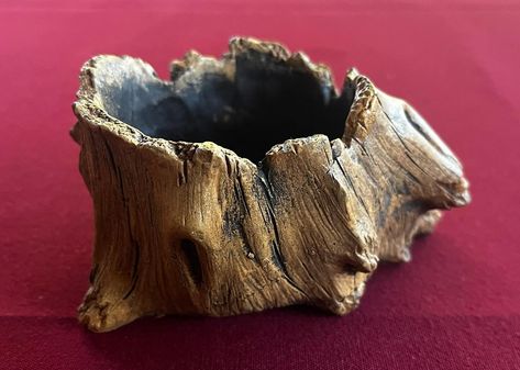 This is a ceramic planter that looks like a tree stump! Gnarly Tree, Trunk Design, Planter Pottery, Tree Vase, Wood Bark, Wood Planter, Wood Planters, Pottery Planters, Beaded Belt