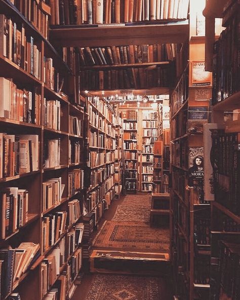 Old Library, Library Aesthetic, Dream Library, Home Libraries, World Of Books, Dark Academia Aesthetic, Academia Aesthetic, Book Nooks, Library Books