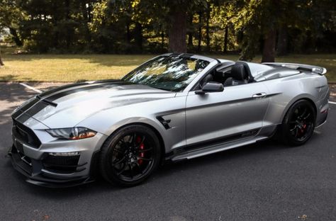 2021 Ford Mustang GT Shelby Super Snake Speedster Convertible (#86, Iconic Silver, black stripes) Mustang Super Snake, Shelby Super Snake, Ford Mustang Gt Convertible, Shelby American, Mustang Gt Convertible, Ford Mustang Ecoboost, Super Snake, Mustang Ecoboost, Grey Car