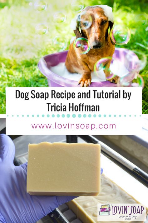 Guest Post: Dog Soap Recipe and Tutorial by Tricia Hoffman – Lovin Soap Studio Dog Soap Recipe, Natural Soap Making Recipes, Diy Dog Shampoo, Homemade Dog Shampoo, Dog Shampoo Bar, Soap Studio, Dog Soap, Cold Process Soap Recipes, Dog Grooming Tips