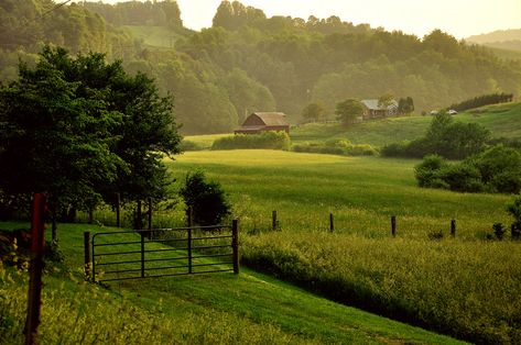 Appalachian Countryside - Farming Country - Glady Creek Road, Lewis County, West Virginia Virginia Hill, West Virginia History, Green Landscapes, Harpers Ferry, Elevation Map, Country Roads Take Me Home, Virginia Homes, Appalachian Mountains, Peak District