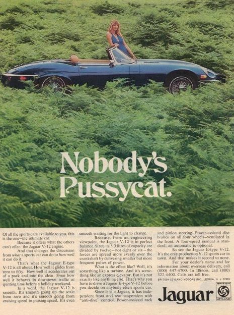 Nobody's Pussycat Vintage Jaguar Ad Jaguar Type E, Jaguar Cars, Auto Poster, Car Brochure, Childish Gambino, Jaguar Car, Jaguar E, Retro Ads, Jaguar E Type