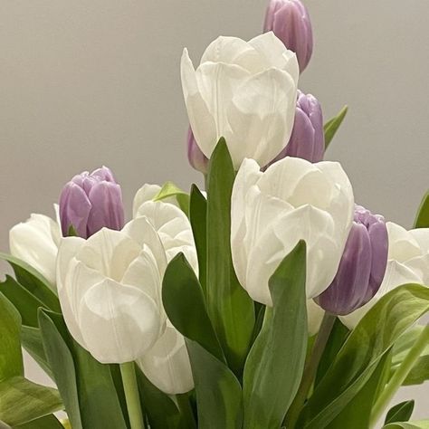 Pictures For Widgetsmith, Purple Flowers Aesthetic, Lilac Tulips, Aesthetic Vase, Wallpaper Plant, Lilac Aesthetic, Flowers Tulips, Aesthetic Pretty, Aesthetic Flower