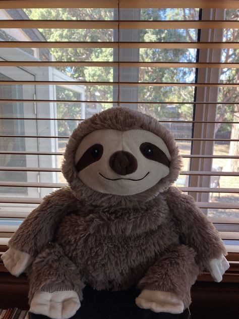 Sloth Plushies, Sloth Aesthetic, Plushie Aesthetic, Sloth Teddy, Cute Sloth, Character Designs, Sloth, Character Design, Quick Saves