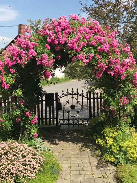 So pretty entrance - Super Dorothy on arch Beautiful Home Entrance, Entrance Gate Arch Design, Garden Gate Arch, Arch Gate Design Entrance, Arch Plants Entrance, Bougainvillea Gate Entrance, Gate Arches Entrance, Garden Entrance Gate, Bougainvillea Arch Entrance