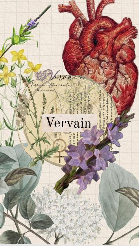 Vervain Aesthetic, App Icon, Your Aesthetic, Connect With People, Creative Energy, Energy