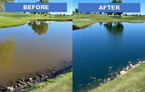 Pond dye can improve the aesthetics of a backyard pond, golf course pond, community pond or even a farm pond Farm Pond, Pond Maintenance, Backyard Pond, Family Backyard, Water Issues, Small Water Features, Pond Landscaping, Natural Pond, Small Lake