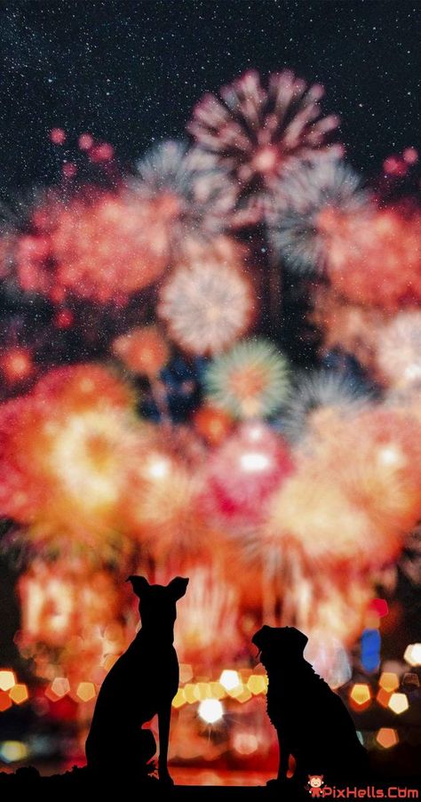 Fireworks and Dogs Dogs Iphone Wallpaper, Flyer Background Design, Apple Advertising, Wallpapers Hd 4k, Flyer Background, Backgrounds For Iphone, Macbook Wallpapers, Good Morning Wallpaper, Ipad Background