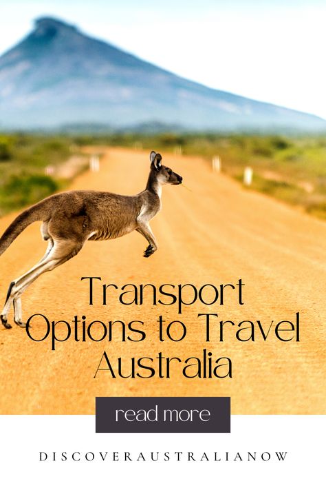 Australia has some great transport options to get you around the country. You can travel Australia by car, bus, train or plane. Even circumnavigate Australia by boat. Find out all the transport options to travel Australia so you can organise your Australian holiday and how best to travel around Australia. International Travel Essentials, New Zealand Itinerary, Melbourne Travel, Nz Travel, Australia Itinerary, Australia Travel Guide, Oceania Travel, Visit Australia, New Zealand Travel