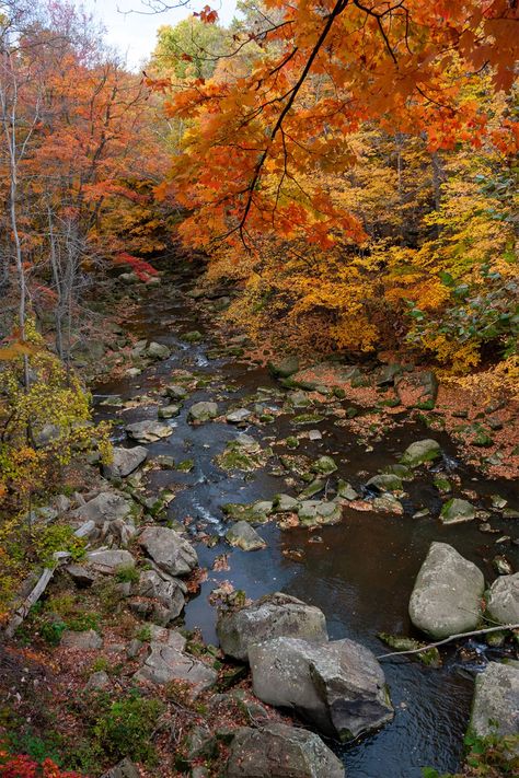 Fall Sunrise, Christmas Story House, Cleveland Botanical Garden, Cleveland Metroparks, Beautiful Parks, Cuyahoga Valley National Park, Ohio Travel, Rocky River, Leaf Peeping