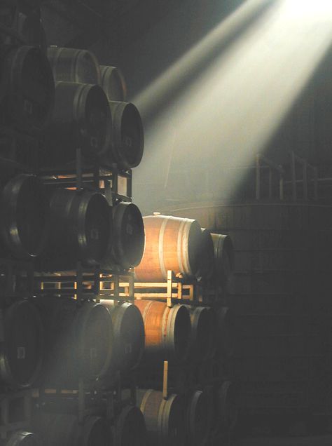 Sunlight Beaming Into The Barrel Room. Firestone Vineyards & Winery. Wine Barrel Aesthetic, Wine Cellar Photography, Vintage Winery Aesthetic, Winery Astethic, Winery Photography, Wine Photo, Winery Tasting Room, Barrel Room, Wine Tasting Room