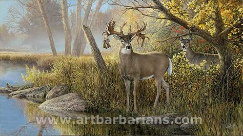 Wildlife Wallpaper, Deer Artwork, Wood Lake, Deer Pictures, Hunting Art, Deer Wall Art, Forest Sunset, Deer Painting, Lodge Cabin