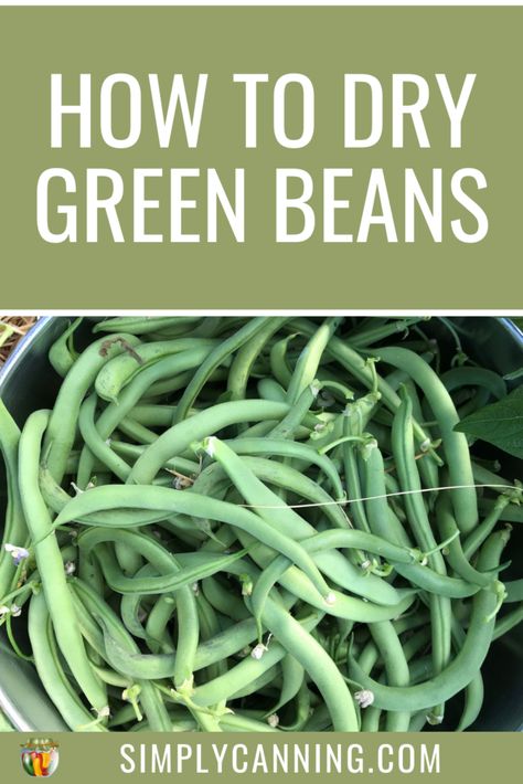 Learn how to dry green beans, with step-by-step directions from picking and blanching to storing. #SimplyCanning #howtodrygreenbeans Dehydrated Green Beans, Food Dehydration, Blanching Green Beans, Dehydrated Foods, Dehydrated Vegetables, Can Green Beans, Canned Food Storage, Freeze Greens, Dry Beans