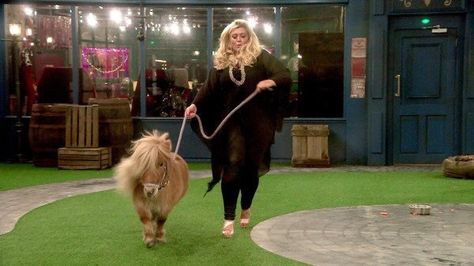 Gemma Collins with Tony the Pony on Celebrity Big Brother Payday Humor, Gemma Collins, Workplace Humor, Animal Memes, Bones Funny, Funny Posts, Funny Cute, Dankest Memes, Funny Animals