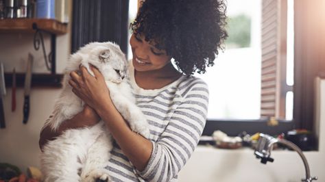 5 Things people get wrong about cat ladies Allergic To Cats, Cat Language, Cat Allergies, Cat Sitter, Cat Cuddle, Pet Hair Removal, Great Cat, Pet Sitting, Cat Behavior