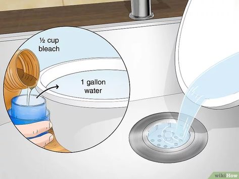 How to Use Home Remedies to Get Rid of Gnats Once & for All Drain Gnats Get Rid Of, Drain Gnats How To Get Rid Of, Kill Gnats In House, Gnats Get Rid Of In Kitchen, Essential Oils For Gnats How To Get Rid, How To Get Rid Of Gnats In Sink Drain, Getting Rid Of Nats, How To Get Rid Of Gnats And Fruit Flies, How To Kill Gnats