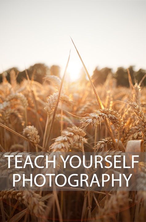 A look at the most important things to study when starting to learn photography, and how to ensure this learning sinks in. Start Photography, Word Photography, Photography Instruction, Beginner Photography, Digital Photography Lessons, Camera Tips, Photography Cheat Sheets, Fotografi Digital, Blog Planning