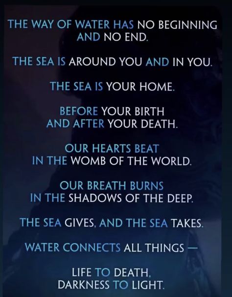 Avatar Quotes Wallpaper, Avatar The Way Of Water Language, Avatar Way Of Water Quotes, Avatar Navi Words, Na’vi Language Avatar, Avatar The Way Of Water Names, Avatar 2 Quotes, Avatar Na'vi Cosplay, Na'vi Language Words