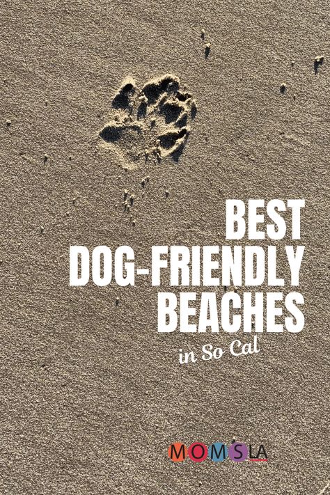 Best Dog Friendly Beaches in Southern California [Now with MAP] San Diego Bucket List, Recreation Activities, Redondo Beach California, Southern California Beaches, Dog Friendly Beach, Nevada Travel, Dog Adventure, Dog Info, Redondo Beach