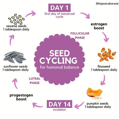 Women’s Health &Transformation on Instagram: “SEED CYCLING 101 Why do seeds support us women and help us with our hormonal balance. Incorporating flax seeds and pumpkin seeds in the…” Seed Cycling Hormones, Seed Cycling, Clinical Nutritionist, Health Transformation, Cycle Syncing, Hormonal Balance, Menstrual Health, Feminine Health, Happy Hormones