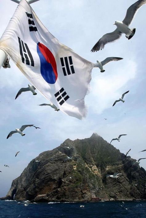 Visiting Korea, Cities In Korea, Korean Flag, Korea South, South Korea Seoul, Korean Air, Birthday Quotes Funny For Him, Korean Lessons, Korean Peninsula