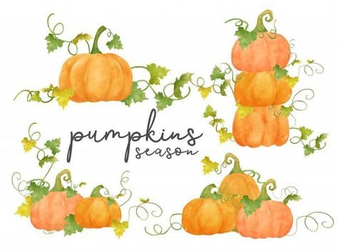 Pumpkin With Vines Drawing, Pumpkin Vine Drawing, Diy Fall Ideas, Vine Drawing, Vine Decoration, Watercolor Orange, Pumpkin Vine, Pumpkin Drawing, Painting Medium