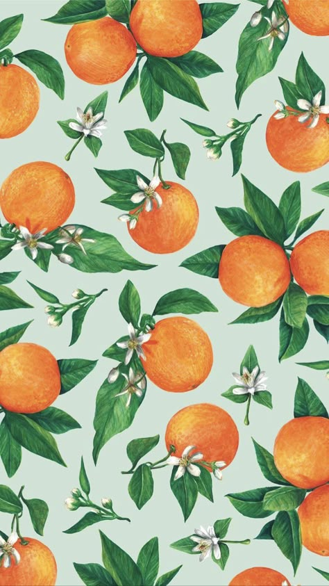 Orange Fruit Wallpaper Aesthetic, Orange Fruit Print, Citrus Wallpaper Iphone, Lemon Background Wallpapers, Tangerines Aesthetics, Oranges Wallpapers, Aesthetic Fruit Wallpaper, Fruit Wallpaper Iphone, Fruit Phone Wallpaper