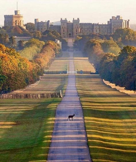 Castle England, The Long Walk, British Castles, England Aesthetic, So British, Old Castle, Rule Britannia, Castles Of The World, Castle Aesthetic