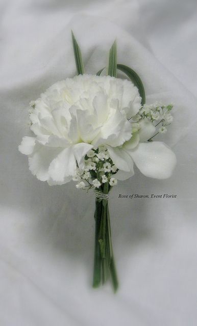 Boutonniere: Carnation & baby's breath by Rose of Sharon-Event Florist, via Flickr Carnation Boutonniere Wedding, White Carnation Boutonniere, Carnation Corsage And Boutonniere, White Carnation Corsage, Boutonniere Carnation, Carnation Buttonhole, White Carnations Wedding, Carnation Corsage, White Carnation Bouquet