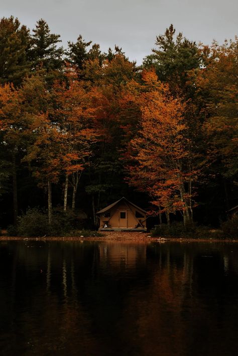 Outdoor lovers rejoice, fall in New Hampshire is something special. Here are all of the can't miss spots like epic hikes, scenic mountain vistas, delicious eats, and where to rest and recharge for an epic Fall in New Hampshire. #NewHampshire #EastCoastFall #FallFoliage #FoliageHikes #NewHampshireHikes Fall In New Hampshire, New Hampshire Aesthetic, Baxter State Park, Forest Falls, Stealth Camping, White Mountain National Forest, Adventure Inspiration, Hiking Guide, Fall Hiking