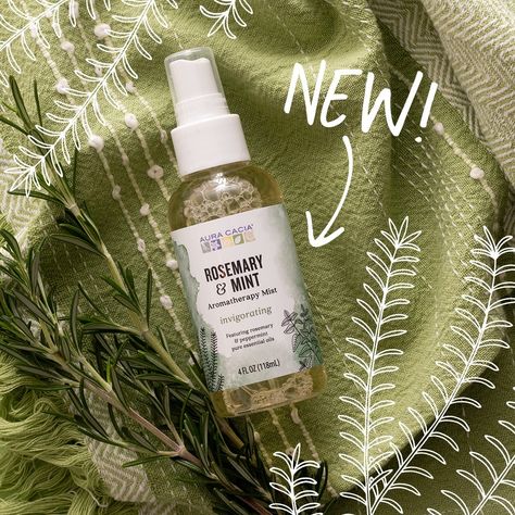 New Product Alert! 🌿 Meet our Rosemary & Mint Mist. Anytime you need to invigorate, mist: * On hair top refresh * To freshen throw pillows * On pillow and linens #newproduct #rosemary #mint #aromatherapy #auracacia Aura Cacia Essential Oils, New Product Alert, Rosemary Mint, Pure Essential Oils, Rosemary, Aromatherapy, Peppermint, New Product, Mist