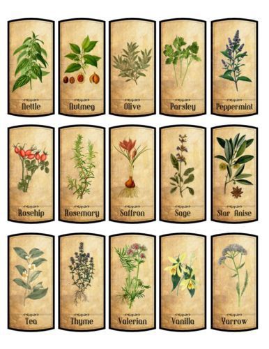 Herb Labels, Spice Jar Labels, Apothecary Labels, Etiquette Vintage, Anniversaire Harry Potter, Spice Labels, Magic Herbs, Miniature Printables, Pantry Labels