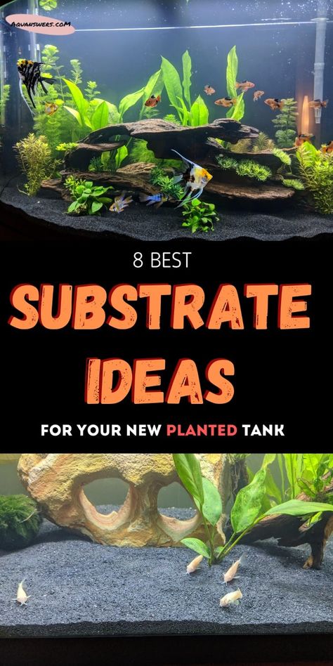 Aquascaping Ideas Inspiration, Fish Tank Substrate Ideas, Natural Freshwater Aquarium Ideas, Freshwater Aquascape Ideas, Filterless Aquarium, Fresh Water Aquariums Ideas, 10 Gallon Fish Tank Ideas Natural, Live Plant Aquarium Ideas, Cheap Fish Tank Ideas