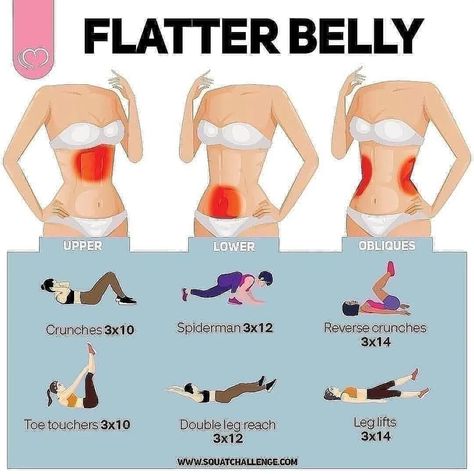 Teen Workout Plan, Small Waist Workout, Summer Body Workout Plan, Lower Belly Workout, Workout Routines For Beginners, All Body Workout, Workout For Flat Stomach, Body Exercises, Quick Workout Routine