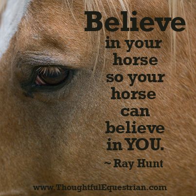 Believe in your horse so your horse can believe in you. ThoughtfulEquestrian.com Cute Horse Quotes, Equine Quotes, Cowgirl Quote, Horse Quotes Funny, Inspirational Horse Quotes, Horse Riding Quotes, Equestrian Quotes, Cowboy Quotes, Cowgirl Quotes