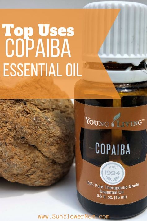 Top Uses for Copaiba Essential Oil Copaiba Essential Oil Diffuser Blends, Copaiba Essential Oil For Face, Young Living Copaiba, Topical Essential Oils, Doterra Copaiba, Honey And Warm Water, Cassia Essential Oil, Copaiba Essential Oil, Essential Oils Kit